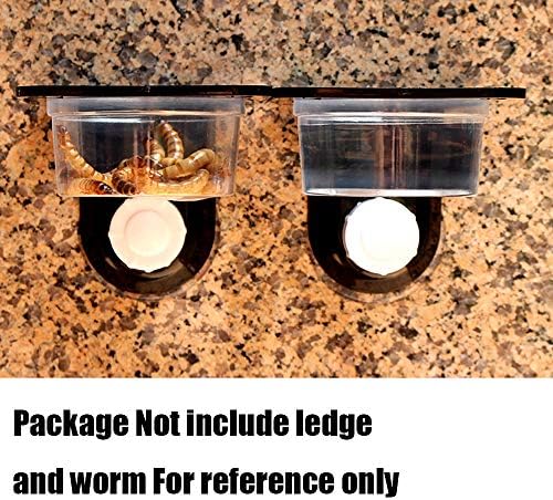 YOGURTCK 100pcs Crested Gecko Feeding Cups Reptile Feeder Bowls for Putting in Water and Food, Fit Lizard and Other Small Animals Pet Supplies 0.5oz