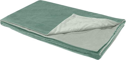Furhaven Waterproof Throw Blanket for Dogs & Indoor Cats, Washable - Two-Tone Luxe Velvet Dog Blanket - Celadon Green, Extra Large/XL