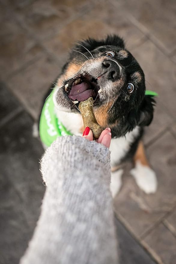 V-dog Dog Treats - Vegan Breathbone Teeth Cleaning Dental Bones - Fresh Breath - 8 Ounces - Minis - All Natural, Made in USA - 10 Bones - 3" Long - Easy to Digest (Pack of 3)