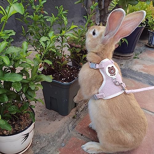 Rabbit Harness and Leash Set 2 Pieces Adjustable Bunny Harness Leash Ferret Harness Guinea Pig Harness Ferret Leash for Small Pets Walking Outdoor (Blue, Small)
