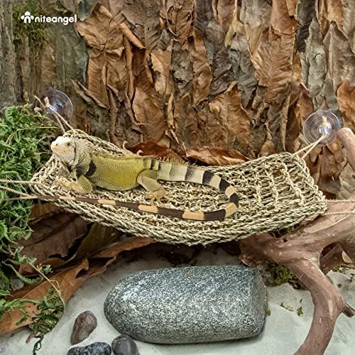 Niteangel Bearded Dragon Seagrass Hammock: Rectangle 16"x 8" & Suction Cups