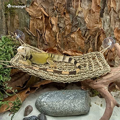 Niteangel Bearded Dragon Seagrass Hammock: Rectangle 16"x 8" & Suction Cups