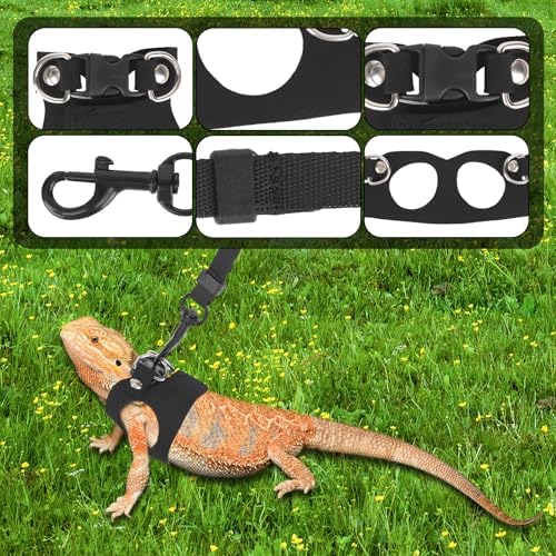 Bearded Dragon Leash and Harness Set
