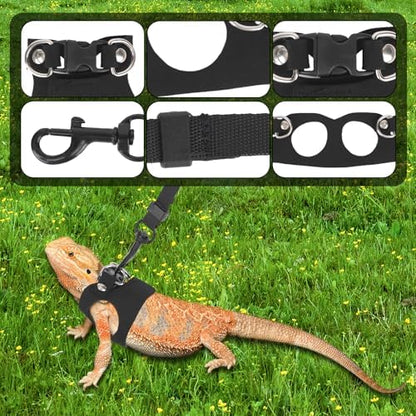 Bearded Dragon Leash and Harness Set