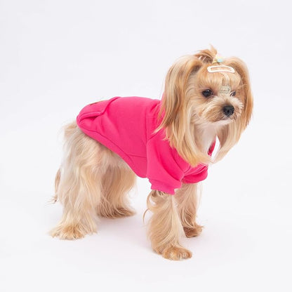 2 Pack Dog Hoodie Warm Hood Dog Sweater Cold Weather Small Dogs Sweatshirt Comfort Pet Clothes for Small Medium Dogs with Pockets Cats Chihuahua Clothes for Male Female Girl Boy Sporty Daily Wear
