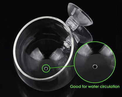 DS. DISTINCTIVE STYLE Aquatic Plant Cups 2 Pieces Crystal Glass Plant Pot with 2 Suction Cups for Aquarium Decoration