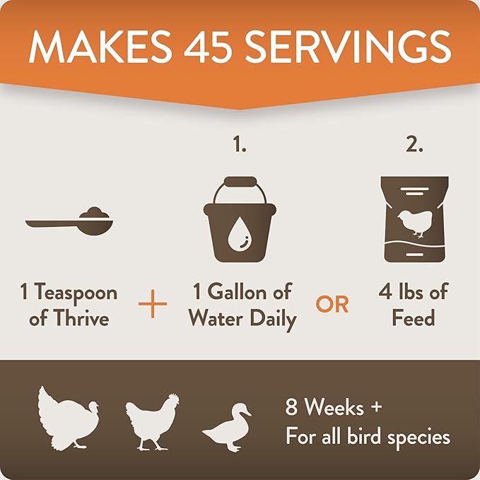 FlockLeader Thrive, Daily Probiotic & Prebiotic Poultry Supplement for Chickens 8+ Weeks Old, 8 oz