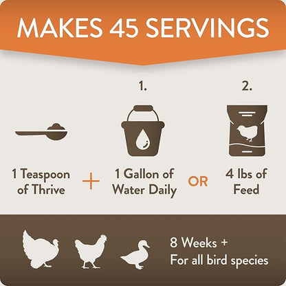 FlockLeader Thrive, Daily Probiotic & Prebiotic Poultry Supplement for Chickens 8+ Weeks Old, 8 oz