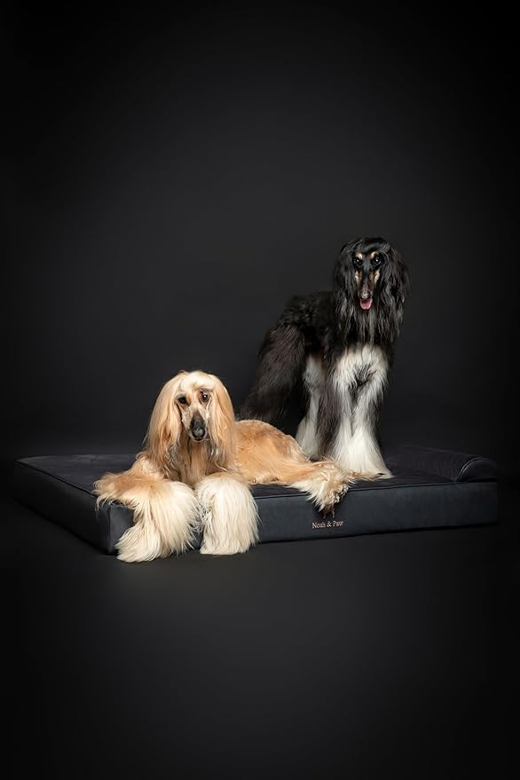 NOAH & PAW Giant Dog Bed XXL 55x45x9.5 Inch, Orthopedic Dog Beds, Eggshell Memory Foam Infused with Cooling Gel, Waterproof, Machine Washable, Includes Inner Cover (Faux Leather)