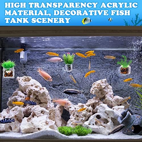 Potchen 20 Pcs Aquarium Plant Holder with Hole Transparent Acrylic Suction Cup Aquarium Aquatic Planter Cups Fish Tank Aquascape Decoration, 3 Shapes