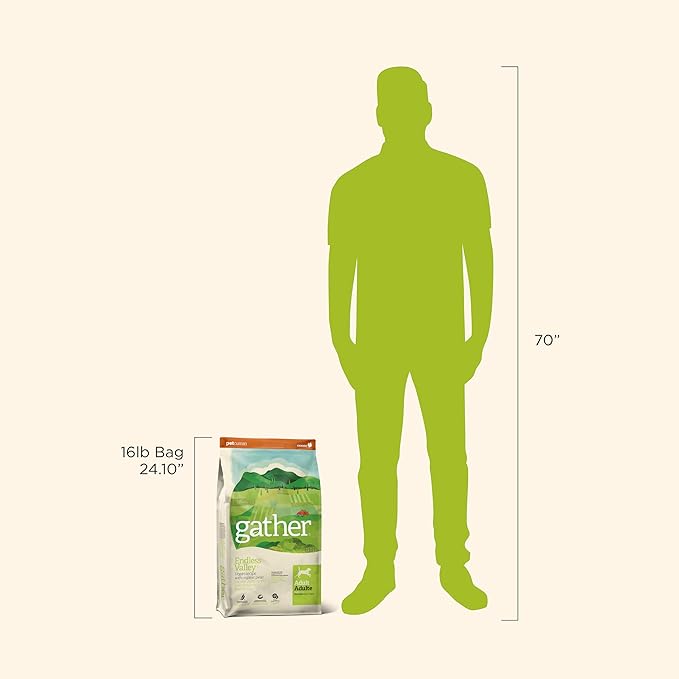 Gather brand dog food bag with a silhouette of a person for scale on a white background