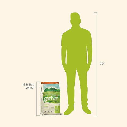 Gather brand dog food bag with a silhouette of a person for scale on a white background