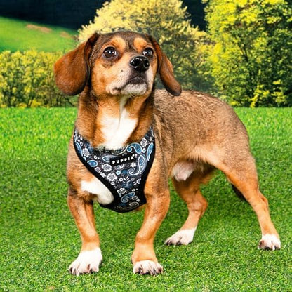Puppia Cynthia Dog Harness A (Over-The-Head) Fashionable Paisley Pattern Spring Summer Harness for Small and Medium Dogs, Black, Medium