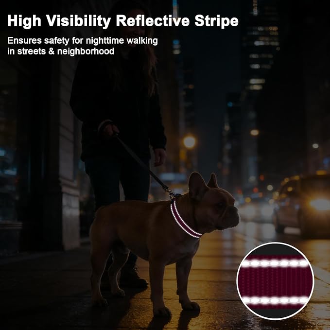 Taglory AirTag Dog Collar with Waterproof Holder for Medium Dogs, Hot Pink | Reflective for Night Walks & Low-Light Safety, Track Your Pup Peace of Mind, Adjustable Soft Padded, No More Dangling Tags M