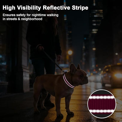 Taglory AirTag Dog Collar with Waterproof Holder for Medium Dogs, Hot Pink | Reflective for Night Walks & Low-Light Safety, Track Your Pup Peace of Mind, Adjustable Soft Padded, No More Dangling Tags M