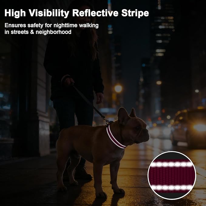 Taglory AirTag Dog Collar with Waterproof Holder for Large Dogs, Hot Pink | Reflective for Night Walks & Low-Light Safety, Track Your Pup Peace of Mind, Adjustable Soft Padded, No More Dangling Tags XL