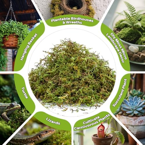 Sukh Sphagnum Moss for Reptiles - 5.5 OZ Reptile Peat Moss Terrarium Bedding Reptiles Lizard Substrate for Reptile Tank, Snake, Leopard Gecko, Ball Python, Crested Gecko, Turtle, Frog, Hamster