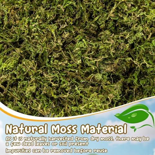 Sukh Hamster Moss - 5.6 Oz Forest Moss for Hamster Bedding Nesting Hideout Dried Moss Reptile Moss for Squirrels Hamsters Guinea Pigs Mices Small Animals Cage Accessories