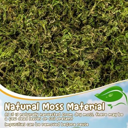 Sukh Hamster Moss - 5.6 Oz Forest Moss for Hamster Bedding Nesting Hideout Dried Moss Reptile Moss for Squirrels Hamsters Guinea Pigs Mices Small Animals Cage Accessories