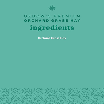Oxbow Orchard Grass Hay for Small Pets – All-Natural Long Strand Fiber Hay for Rabbits,Guinea Pigs,Chinchillas,and Hamsters – Supports Digestive Health and Enrichment-– 40 oz Bag,(Pack of 2)