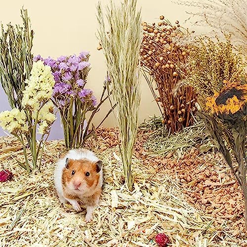 Natural Ear of Grain Flower&Herb Bedding Mate Habitat Decor, Adding Fun Hamster Accessories for Hamsters Gerbils Lemming