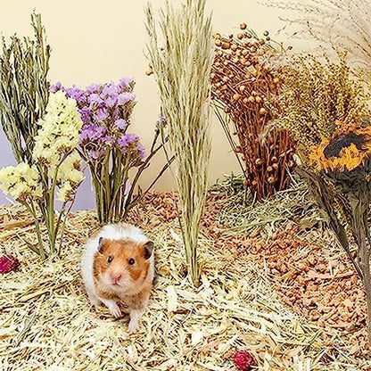 Natural Ear of Grain Flower&Herb Bedding Mate Habitat Decor, Adding Fun Hamster Accessories for Hamsters Gerbils Lemming