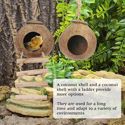 Hamiledyi Lizard Coco Den Reptile Hideouts Gecko Coconut Shell Hut Coconut hut for Geckos Bearded Dragon Tank Accessories Coconut Lizard Hut with Ladder - Natural Coconut Fiber