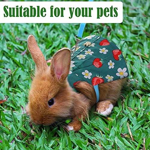 3 Sets Rabbit Bunny Harness and Leash Gift, Peach, Pineapple, Strawberry