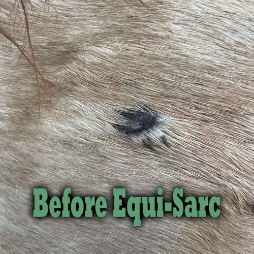 Equine Essentials Equi-SARC | Sarcoid Cream for Horses | Topical Skin Support for Sarcoids, Warts & Blemishes | Gentle, Easy-to-Apply Formula