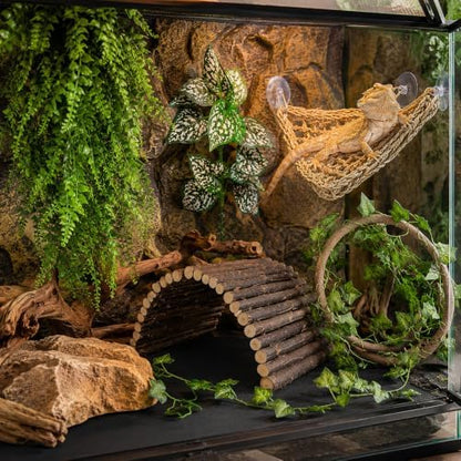 RUNANIA Bearded Dragon Tank Accessories, Reptile Mat Hammock Plants Bridge Jungle Climber Vines Terrarium Decorations for Bearded Dragon Lizard Snake