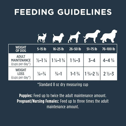 Instinct Raw Boost, Natural Dry Dog Food with Freeze Dried Pieces, High Protein, Whole Grain Recipe - Real Lamb & Oatmeal, 4.5 lb. Bag