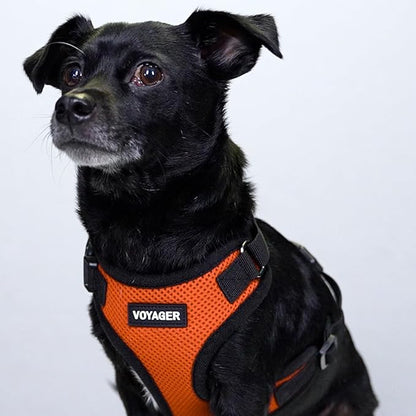 Voyager Step-in Pet Harness - All Weather Mesh, Adjustable Step in Harness for Cats and Dogs by Best Pet Supplies - Orange/Black Trim, L