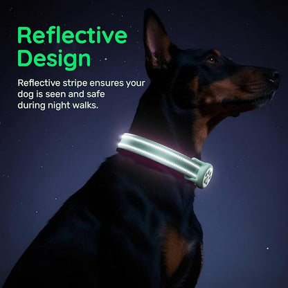 Airtag Dog Collar, Reflective Ultra-Durable Nylon Padded with QR Code Buckle & IP68 Waterproof Air Tag Holder Compatible for Apple AirTag, Comfortable for Small Medium Large Dogs(Green,L)