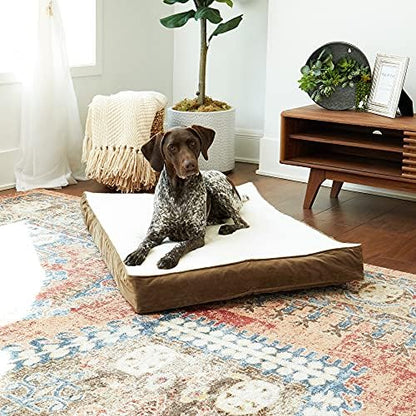 Happy Hounds Oscar Rectangle Orthopedic Foam Sherpa Dog Bed, Medium (42 x 30 in.), Mocha