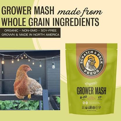 Scratch and Peck Whole Grain Grower Mash Chicken and Duck Feed - 10 lbs Bag - Corn-Free and Soy-Free - 17% Protein, Certified Organic and Non-GMO Project Verified Chicken Food