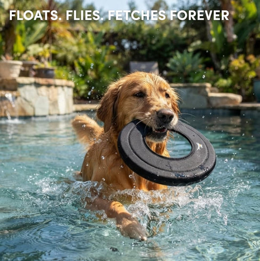 OllyDog Mini Super Flyer, Dog Flying Disc – Floating Fetch Toy, Soft on Teeth, Eco-Friendly Recycled Material, Lightweight, for Small & Medium Dogs (Raven, 9")