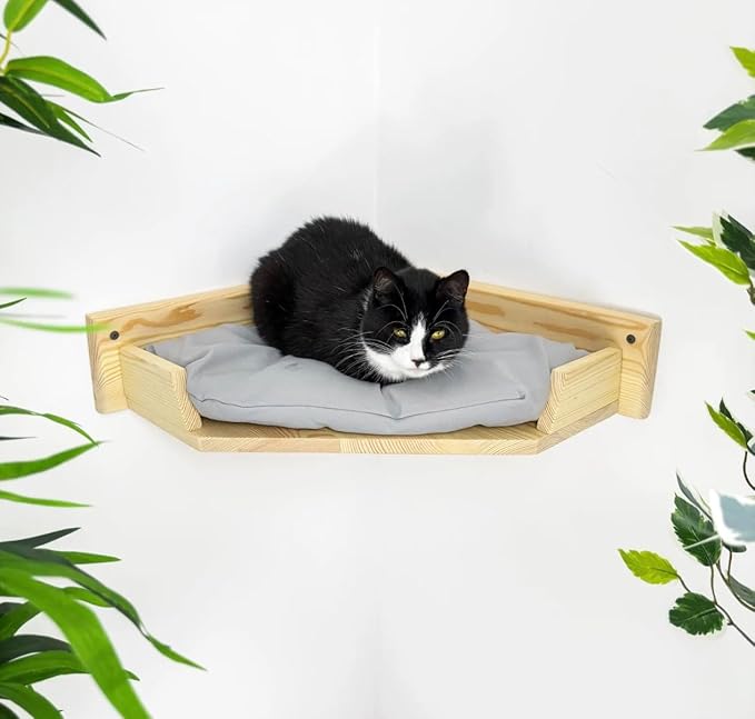 Cat Wall Bed, Wall-Mounted Wooden Corner Bed, Wall Furniture, Cat Corner Wall Shelf Bed with Cushion, Easy to Install (Clear, Pillow Color)