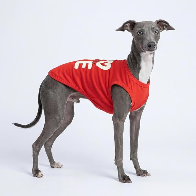 Fitwarm Love You Dog Shirt, Funny Valentines Outfit for Small Dogs Boy Girl, Festive Pet Clothes, Red, White, XS
