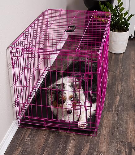 Internet's Best Wire Dog Crate for Dogs - Double Door Metal Steel Crate, Indoor Folding & Collapsible Cage, Secure & Durable, Portable Travel Kennel, Ideal for Home Use - Pink, 36 Inches