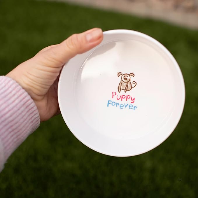 Loving Pets Dolce Moderno Dog Bowl – Modern Melamine Dog Food Bowl & Dog Water Bowl – Durable, Non-Slip Pet Dish for Small & Medium Dogs – Dishwasher Safe Dog Bowl (Large, 47 oz)