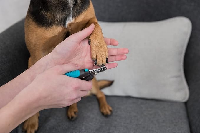 TRIXIE Pet Grooming Nail Clippers, for Small Dogs, Cats, Small Animals and Birds, 4.7" (12cm)