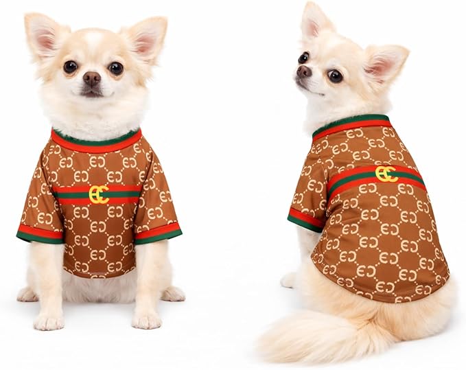 Luxury Designer Dog T Shirt – Trendy Puppy Clothes for Small Dogs, Fashion Pet Tee for French Bulldogs & Chihuahuas, Everything Chic Dog Apparel (GucchewiTee, Large)