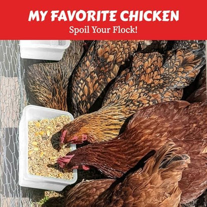 My Favorite Chicken Cage Cup 27oz – Hanging Chicken Feeder & Hanging Chicken Waterer for Chick, Quail, Duck, Parakeet – Small Poultry Waterer & Feed Dish – Cage & Coop Accessories