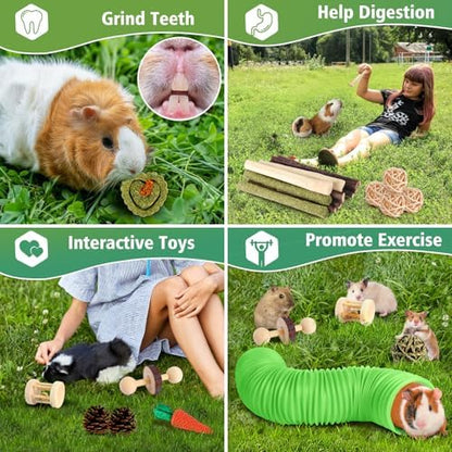 Kyouki Hamster Toys Guinea Pig Toys Set with Tunnel, Chewable Apple Wood & Natural Timothy Hay - Enrichment Chew Toys for Small Animals - 24+ Cage Accessories for Teeth Care & Boredom Relief (Green)