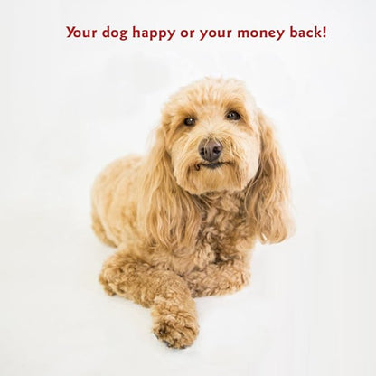 Majestic Pet Rectangle Medium Dog Bed Washable – Non Slip Comfy Pet Bed – Dog Crate Bed with Removable Washable Cover – Dog Kennel Bed for Sleeping - Dog Bed Medium Breed 36x29x4 Inch – Sage Green