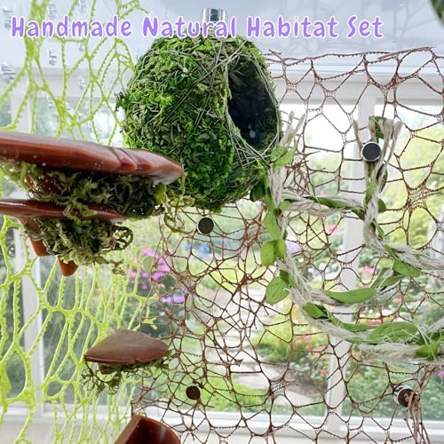 Jumping Spider Accessories - 2 Moss Hideouts & 2 Hemp Rope Bridges