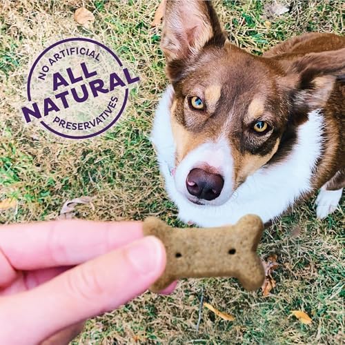 Old Mother Hubbard Wellness Classic P-Nuttier Dog Biscuits, Natural Training Treats, Peanut Butter Flavor, Small Size, 20 oz Bag (Pack of 2)
