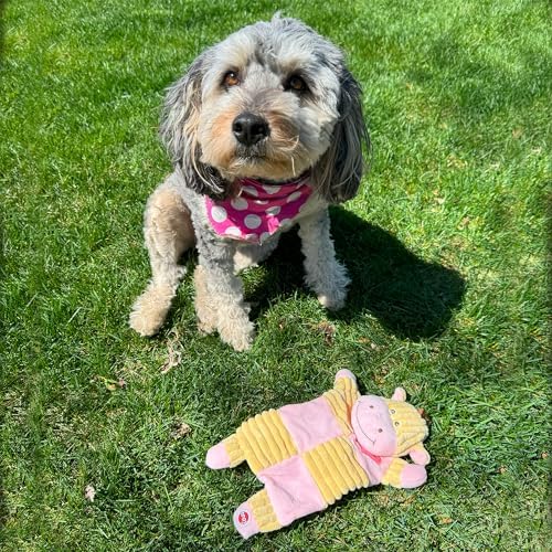 SPOT Soothers Crinkle Paper Dog Toy - 13in Stuffing-Free Calming Plush with Crinkle, Lavender Scent & Squeaker, Anxiety Relief for Dogs - 1 of 3 Animal Designs, Sent at Random