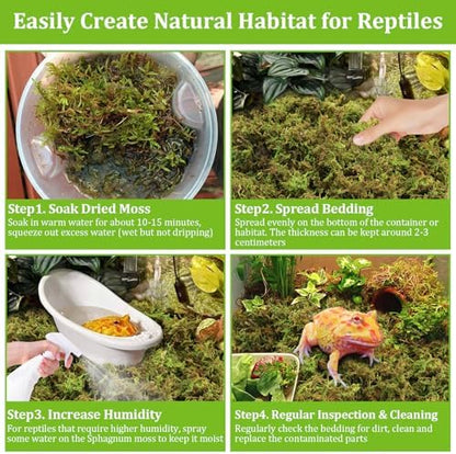 Legigo 3.5OZ Natural Sphagnum Moss for Reptile Terrarium Substrate Bedding