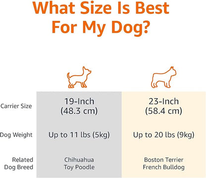 Basics Sturdy Portable 2-Door Top-Load Hard-Sided Pet Travel Carrier with Secure Ventilation, Handle, Front & Top Entry for Dogs, Cats, 22.8"L x 15"W x 13"H, Gray & Blue